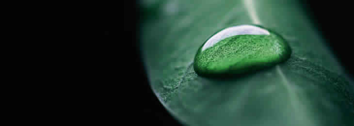 ISO 14001 TUNISIE
